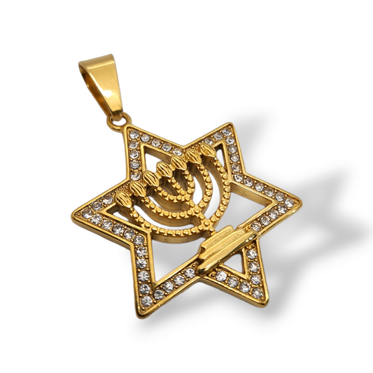 Menorah star david pendant stainless steel